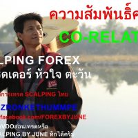 สอนเทรด FOREX โดย จูน เทรดเดอร์ หัวใจ ตะวัน: การอ่านความสัมพันธิค่าเงิน Forex -co relation forex