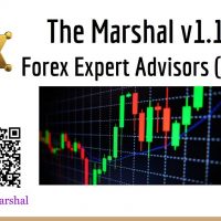เทรด Forex อย่างปลอดภัย ทำกำไร ด้วย EA The Marshal | สอนเทรด | MT4 | Trading forex | Safety forex