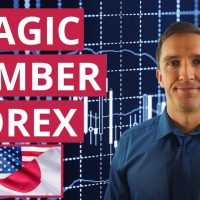 Magic Number Forex - The Expert Advisors finviz forex