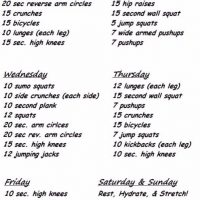 Beginner 4 Week Exercise Challenge Schedule, Loose Pounds Fast!