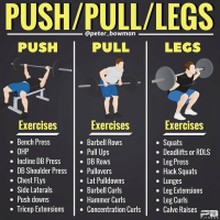 Push/Pull/Legs Split: 3-6 Day Weight Training Workout Schedule and Plan - GymGuider.com