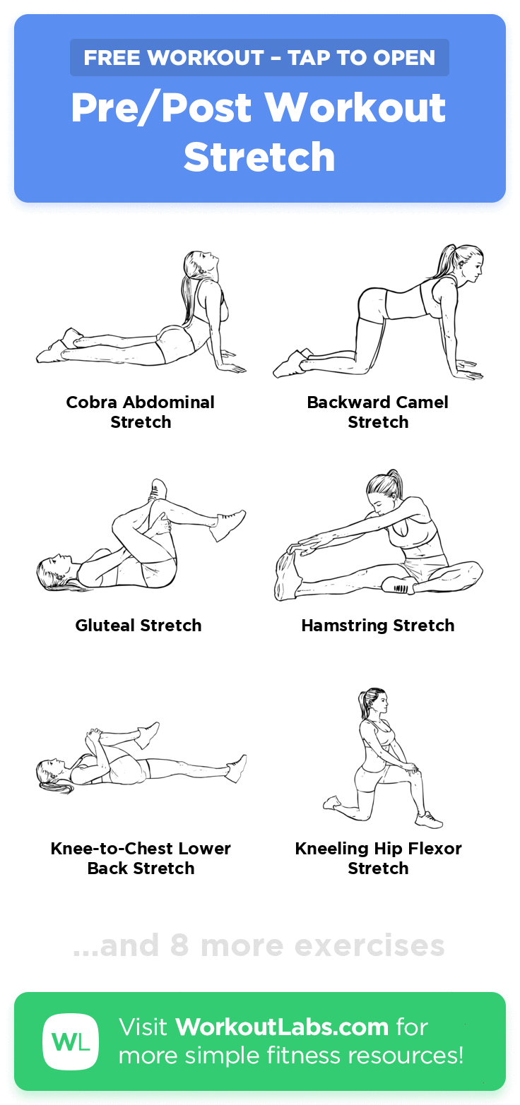 Pre/Post Workout Stretch · Free workout by WorkoutLabs Fit